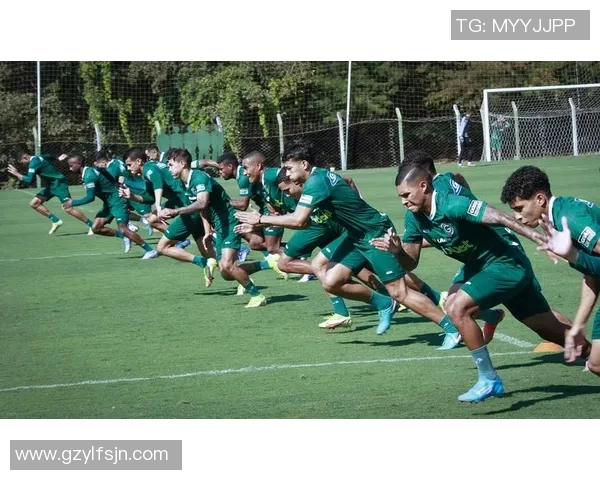 戈亚斯对阵巴西国际精彩直播全程回顾与赛后分析