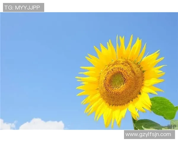 林葳的成长之路:从平凡到卓越的奋斗故事与人生启示