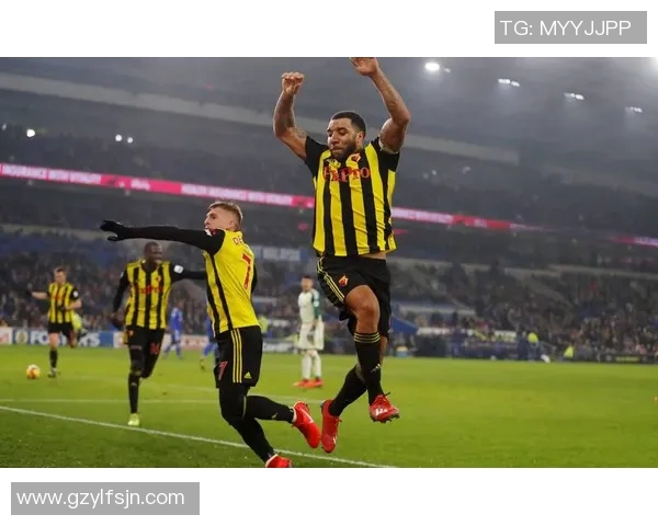 诺丁汉与沃特福德对决分析及赛前预测全方位解读