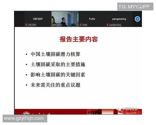 南京乒乓球队的节奏体系与战术运用探讨及其对比赛的影响分析