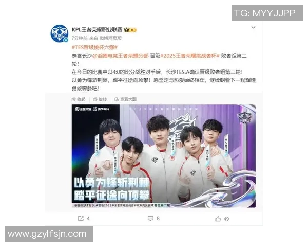 聚焦王者荣耀TES战队比赛经验分享与战术解析