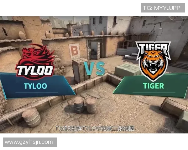 赛后复盘TES与JDG对决中的战术分析与关键决策探讨